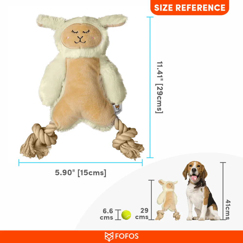 product-2